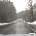 Tree blocking both lanes on Daniel Shays Highway
