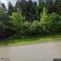Tree blocking Telegraph Road near Lyonsburg line