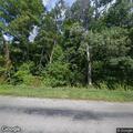 Tree blocking road on Blodgett Road in Naples