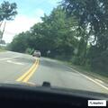 Female vomiting and fainting near State Road