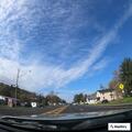 Loose dog wandering in traffic near Red Apple
