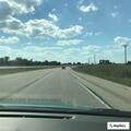Officers asked to check area for deer on highway