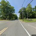 Deer struck by vehicle on New Athol Road