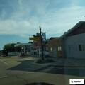Woman reported hitting dog with leash on Sherman St