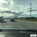 Person begging for money with dog at intersection