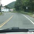 Dog struck and contained on Main Street in Charlemont