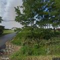 Loose dogs secured at home on 240th Avenue
