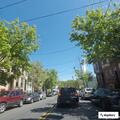 Fire alarm at Lark Street residential building