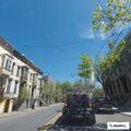 Person stealing cards near Lark Street in Albany