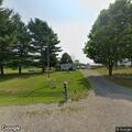 Stray dog reported on Tinney Road