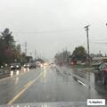 Public disturbance reported at auto shop