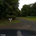 Loose brown husky running in area of School Road
