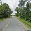Loose dog running in road near Bernardston line