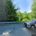Cracked tree near Pelham Road poses hazard to roadway