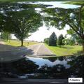 Tree blocking westbound lane on East Barnum Road