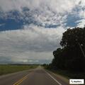 Dead deer reported on Highway 59 near Albany
