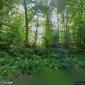 Tree blocking Rocky Pond Road traffic