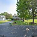 Loose friendly dog reported on Springhollow Drive