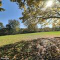 Unconscious 51-year-old woman found in park bathroom