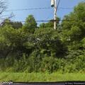 Traffic stop near Grove Street in Tully