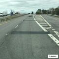 Injured deer in road on I-81 near Tully