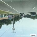 Traffic stop of driver with suspended license