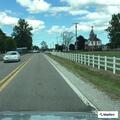 Dog locked in hot car at Blake's Main Orchard