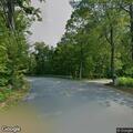 Loose dogs reported in roadway area