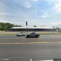 Deceased dog reported on Walden Avenue roadway