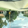 Found property reported on Main Street
