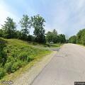 Loose dog in roadway on Steam Mill Road