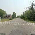 Vehicle reportedly struck dog in roadway