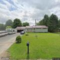 Suspicious person hiding behind tree in yard