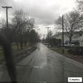 Loose pit bull creating road hazard