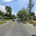 Deer blocking traffic on Washington Ave