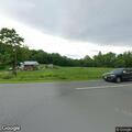 Stray cow blocking Scenic Highway traffic