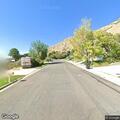 Bear reported near Center and Spring Oaks split