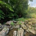 Woman in 40s falls and sustains minor head injury in park
