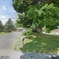 Tree blocking roadway on Pinnacle Road