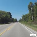 Car and deer collision on Sunset Drive