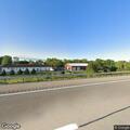 Injured goose on Route 990 near exit 1