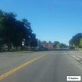 Vehicle plate check on Main Street in Newark
