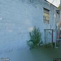 Animal complaint on North Salina Street