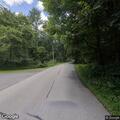 Large snapping turtle blocking roadway