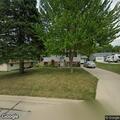 Loose dogs reported in front yard