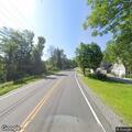 Woman chasing stray dog in roadway