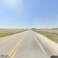 Cattle blocking roadway on Highway 18