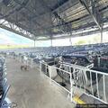 Possible cardiac arrest at amphitheater in Syracuse