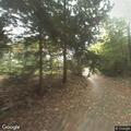 Man falls 15 feet from tree with possible broken leg