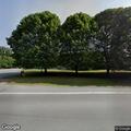 Overhanging branches block southbound lane on Route 5